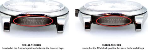 rolex case markings|rolex model number lookup.